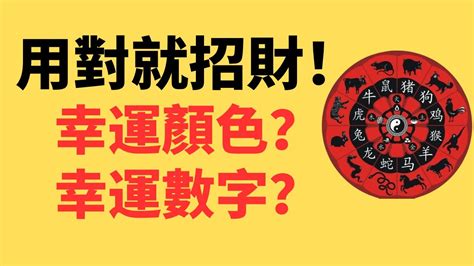 2023生肖手機顏色|2023十二生肖的幸運顏色和數字